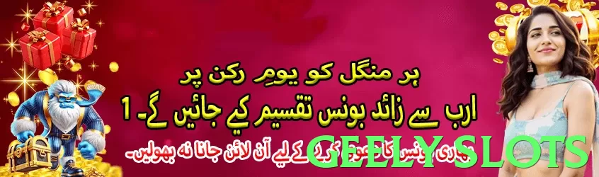 Geely Slots Pakistan - 3